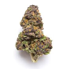 MOBSTERS CASKET THCA HEMP FLOWER